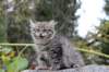 xoana11weeks810202348_small.jpg