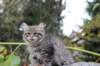 xoana11weeks810202351_small.jpg