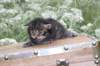 xoanatum3weeks118202312_small.jpg