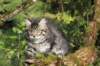 xon11weeks810202313_small.jpg