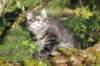 xon11weeks810202314_small.jpg