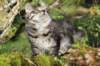 xon11weeks810202315_small.jpg