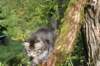 xon11weeks810202317_small.jpg