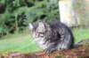 xon11weeks810202319_small.jpg