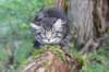 xon11weeks810202321_small.jpg