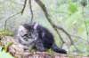 xon11weeks810202322_small.jpg