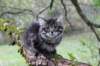 xon11weeks810202326_small.jpg