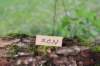 xon11weeks81020232_small.jpg