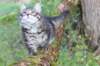 xon11weeks81020233_small.jpg