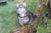 xon11weeks81020234_small.jpg