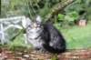xon11weeks81020239_small.jpg