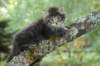 xon55weeks298202313_small.jpg