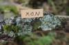 xon55weeks29820231_small.jpg