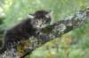 xon55weeks29820234_small.jpg