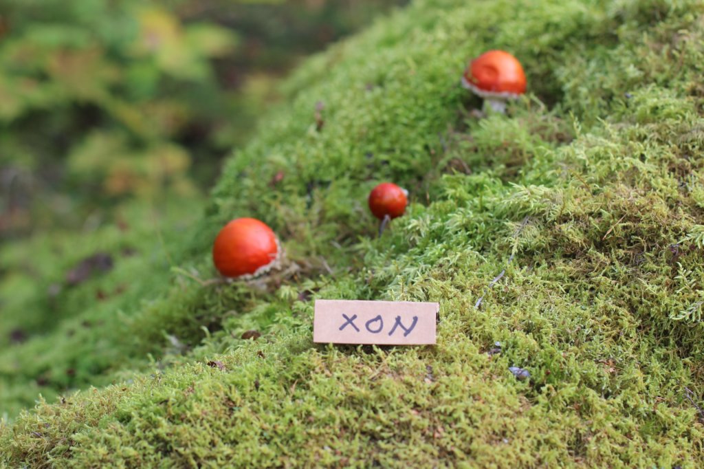 xon75weeks11920231.jpg