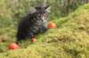 xon75weeks119202321_small.jpg
