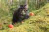 xon75weeks119202322_small.jpg