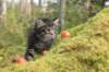 xon75weeks119202323_small.jpg