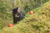 xon75weeks119202324_small.jpg