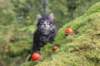 xon75weeks119202325_small.jpg