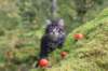 xon75weeks119202326_small.jpg