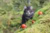 xon75weeks119202328_small.jpg