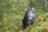 xon75weeks119202329_small.jpg