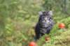 xon75weeks119202330_small.jpg
