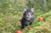xon75weeks119202331_small.jpg