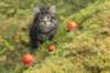 xon75weeks119202332_small.jpg