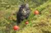 xon75weeks119202333_small.jpg