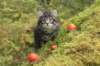 xon75weeks119202334_small.jpg