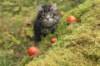 xon75weeks119202335_small.jpg