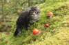 xon75weeks119202337_small.jpg