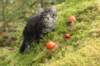 xon75weeks119202338_small.jpg
