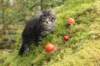 xon75weeks119202339_small.jpg