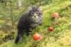 xon75weeks119202340_small.jpg
