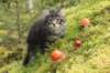 xon75weeks119202341_small.jpg