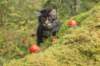 xon75weeks119202342_small.jpg