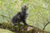 xon95weeks2792328_small.jpg