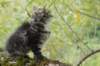 xon95weeks2792329_small.jpg