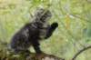 xon95weeks2792331_small.jpg