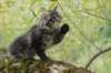xon95weeks2792334_small.jpg