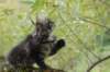 xon95weeks2792336_small.jpg