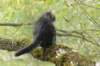 xon95weeks2792345_small.jpg