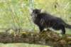 xon95weeks2792348_small.jpg