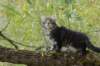 xon95weeks2792349_small.jpg