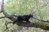 xon95weeks2792357_small.jpg