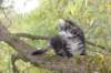 xon95weeks2792359_small.jpg