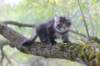 xon95weeks2792361_small.jpg